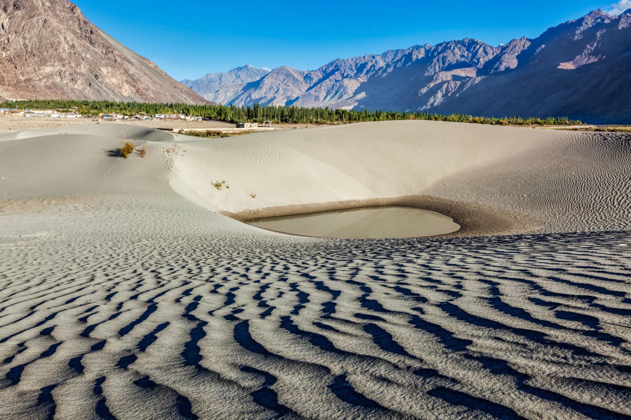 Leh–Ladakh Ultimate Expedition photo 4