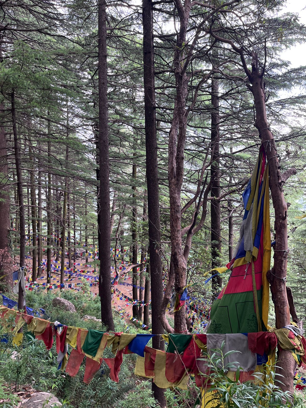 Himachal moments