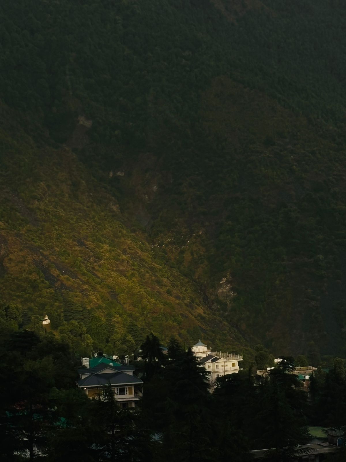 Himachal moments