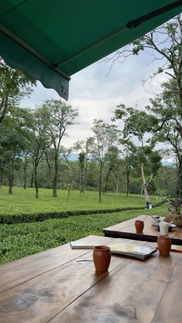 Palampur trip photo 2